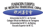 logo_fundacion_europea-removebg-preview